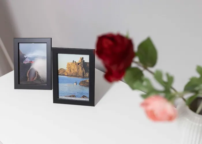 La Maison Des Artistes